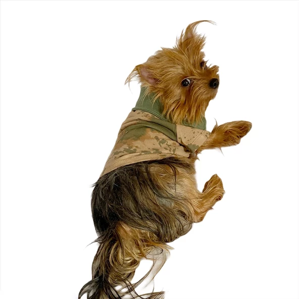 Komando Polo Yaka Tişört Köpek Kıyafeti Köpek Elbisesi - 10