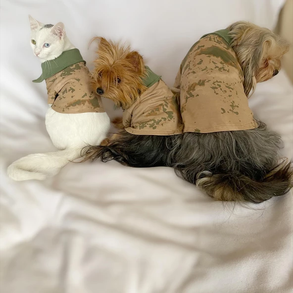 Komando Polo Yaka Tişört Kedi Kıyafeti  Kedi Elbisesi - 7