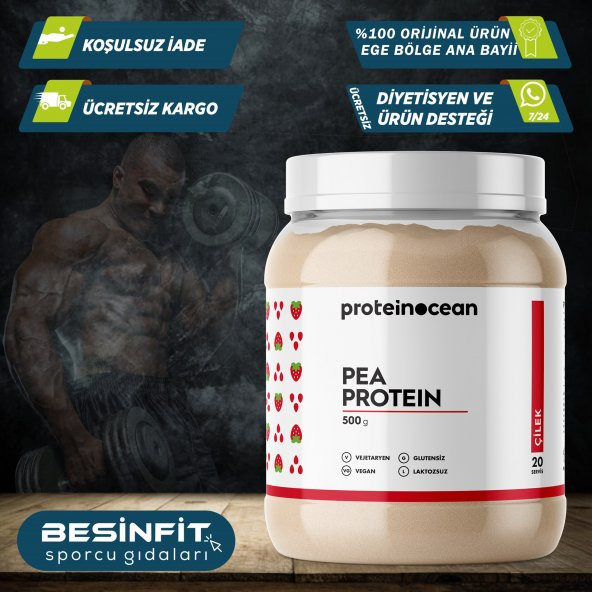 ProteinOcean PEA Protein 500 Gr - (( Kalite ))