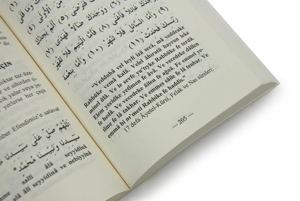 Şifa İncileri - Mustafa Yiğit - Resim 4