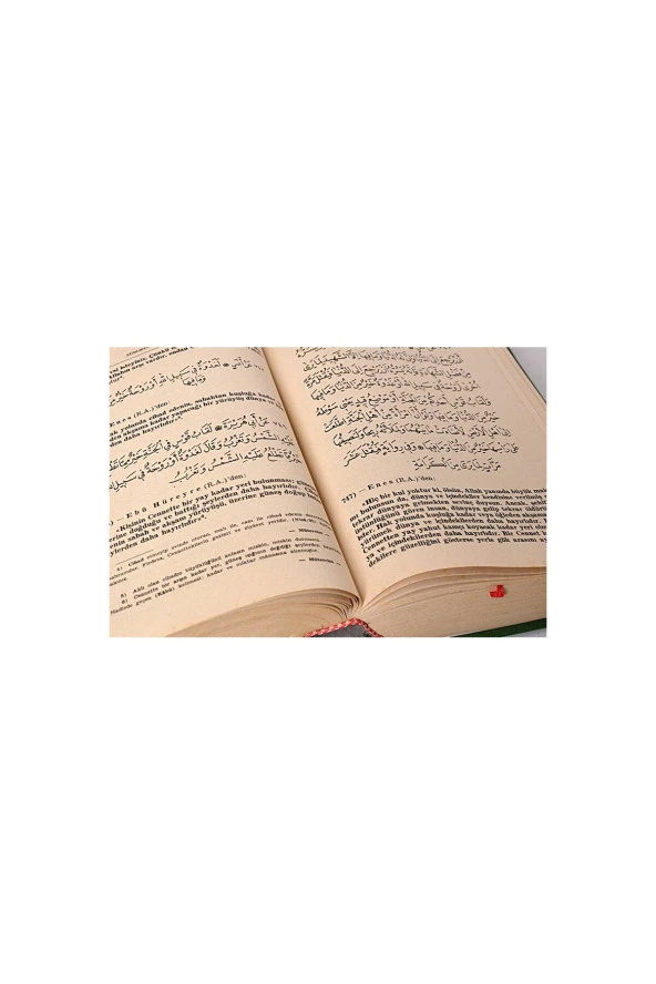 Zübdetül Buhari Tercümesi - İthal Kağıt-1497 - 2