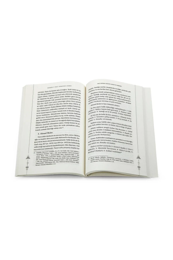 Hamid-i Velî (Somuncu Baba)-1730 - Resim 3