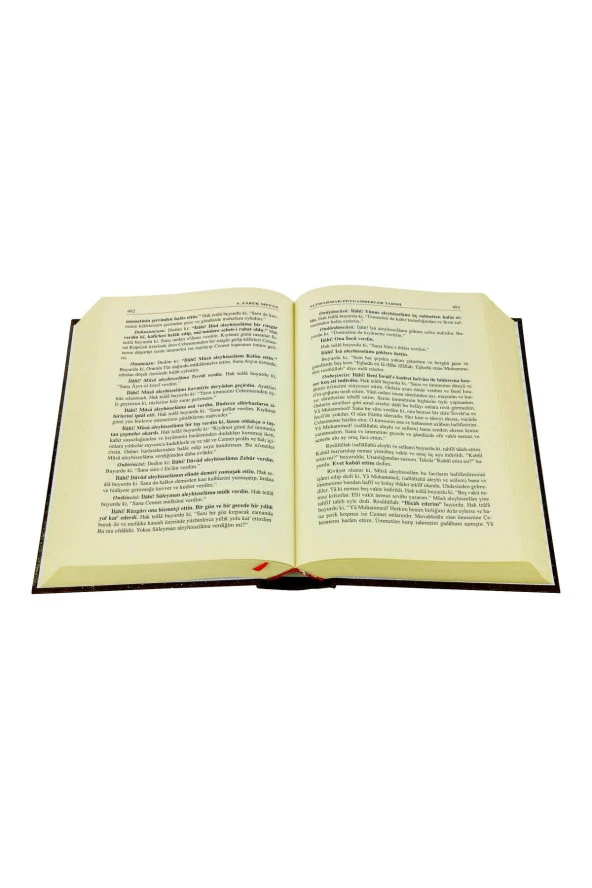 Mearicün Nübüvve Altıparmak Peygamberler Tarihi - Resim 2