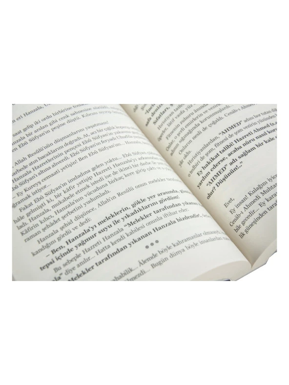 Peygamber Aşıkları - Mustafa Necati Bursalı - Resim 5