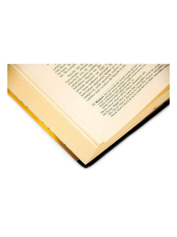 Fıkhu's Siyre Peygamberimiz (s.a.v) Hayatı - İbn Kayyım El-Cevziyye - Resim 4