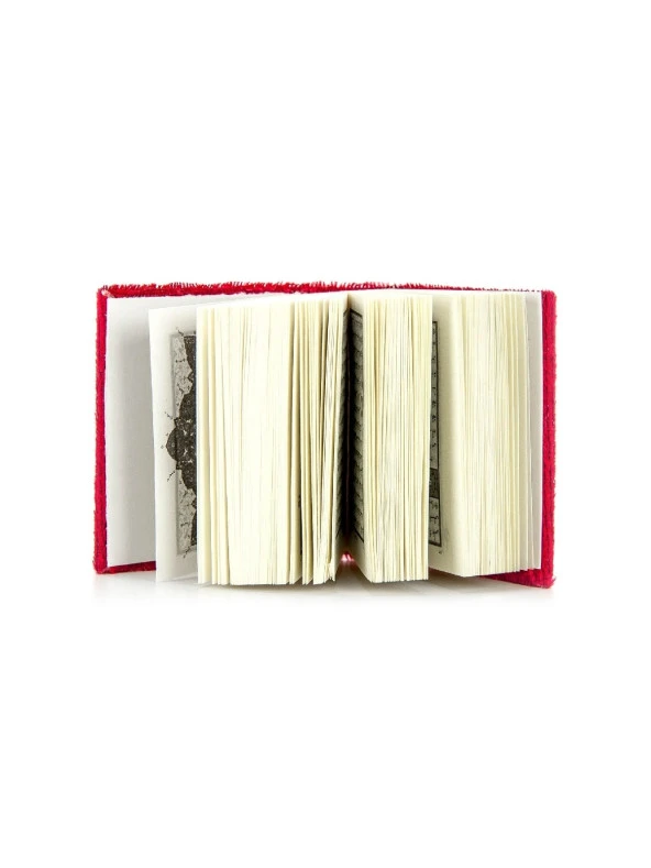 Kadife Kaplı Mikro Kuranı Kerim - Sade Arapça - Kırmızı - Bilgisayar Hatlı - Resim 4