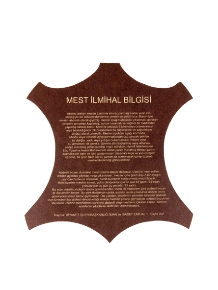 Dana Derisi Mest - Siyah Renk - 7