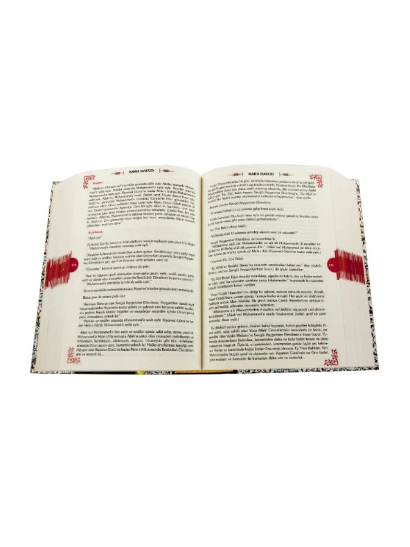 Kara Davud - Delail-i Hayrat Şerhi - Resim 3