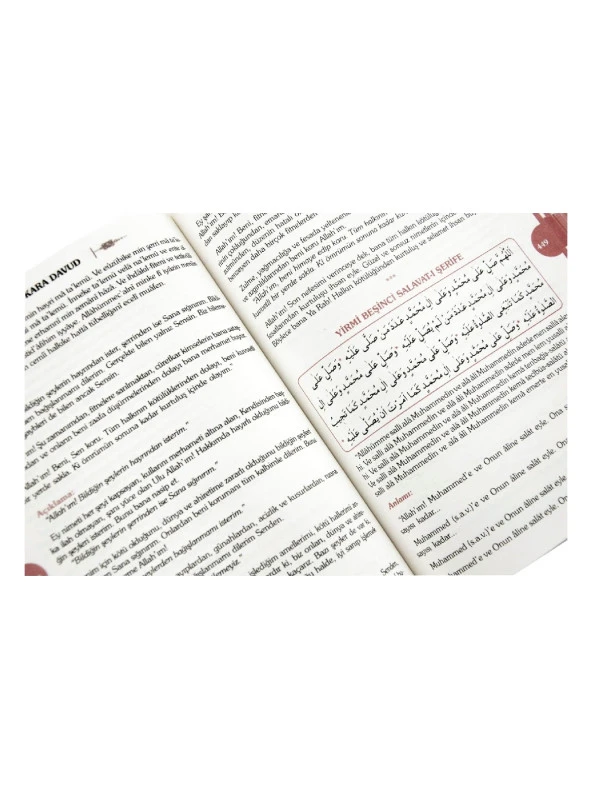 Kara Davud - Delail-i Hayrat Şerhi - Resim 4