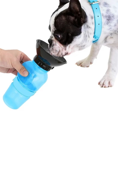 fullreyon Mavi Renk, Valfli, Bileklikli Kedi, Köpek Seyahat Suluğu, Çok Kaliteli Evcil Hayvan Seyahat Suluğu - 3