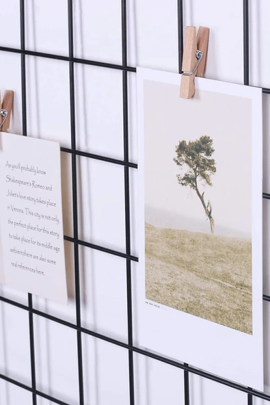 Benefitto Tel Fotoğraf Askısı Metal Askılık 40*60 Cm - 3