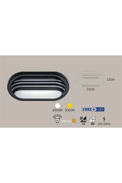 ECONA Full Reyon 20w Dış Mekan Dekoratif Oval Siyah Kasa Kafesli (6500K)