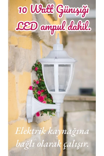 fullreyon 10 Watt Günışığı Ampullü Dekoratif  Bahçe Duvar Aydınlatma Armatürü, Bahçe, Teras, Balkon Apliği - 2