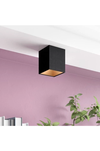 fullreyon 7 Watt  gu10 Duylu Dekoratif Kasa Şık Tavan Armatürü Mavi Işık - Resim 3