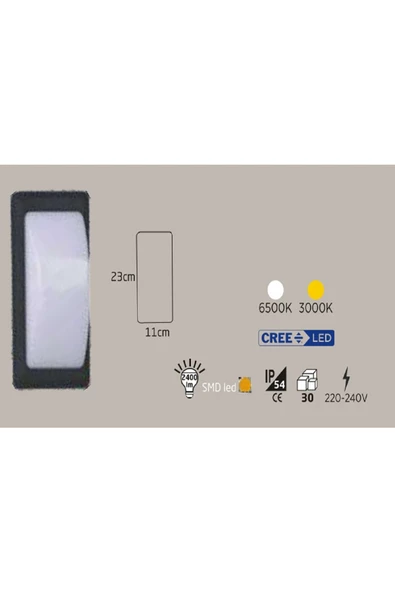 ECONA 24w Siyah Kasa Dış Mekan Led Aplik Elips Boş (6500k)