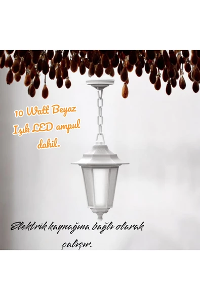 fullreyon 10 Watt Beyaz Işık Ampullü, Elektrikle Çalışır, Plastik Kasa Armatür, Bahçe, Balkon, Teras Apliği