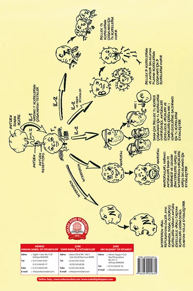 Basitleştirilmiş Klinik Fizyoloji - 2