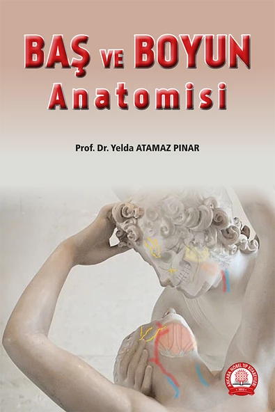 Baş ve Boyun Anatomisi ürün görseli 1