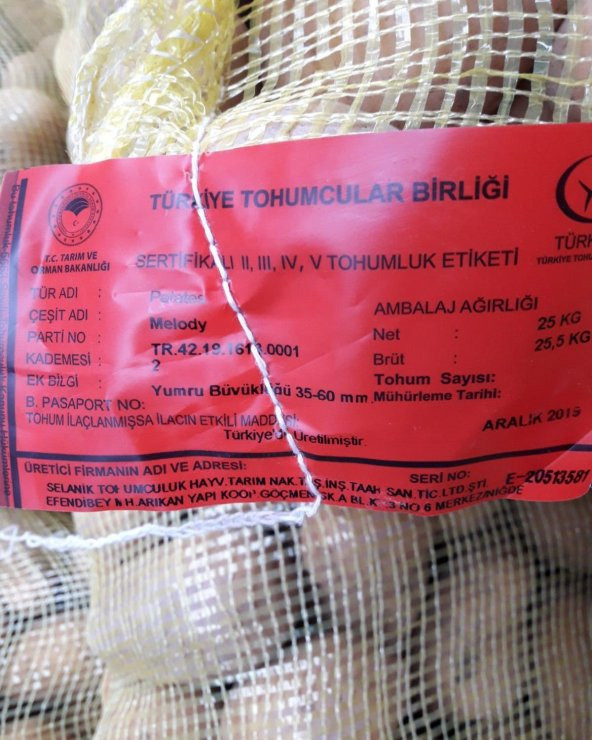 Melody Tohumluk Patates 10 Kg - 6