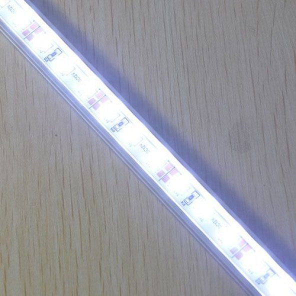 Barled 5630 smd Beyaz Renk Toptan Fiyat - 2