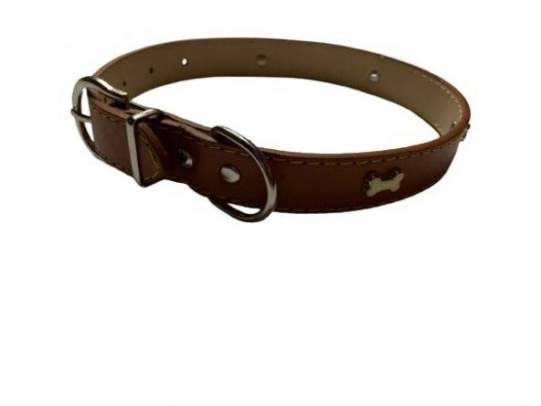 ANS Kemikli Deri Köpek Tasması 55cm - 4
