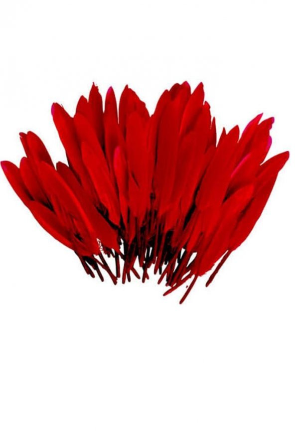Şeffaf Kırmızı Tüylü Balon 45 Cm - 3