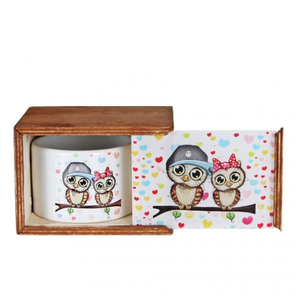 Best Friends Baykuş Puf Yastık Baykuş Ahşap Kutulu Kupa Baykuş Seramik Kumbara Hediye Seti - 3