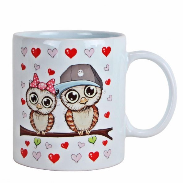 Best Friends Baykuş Puf Yastık Baykuş Biblolu Kalemlik Baykuş Seramik Kupa Hediye Seti - 3