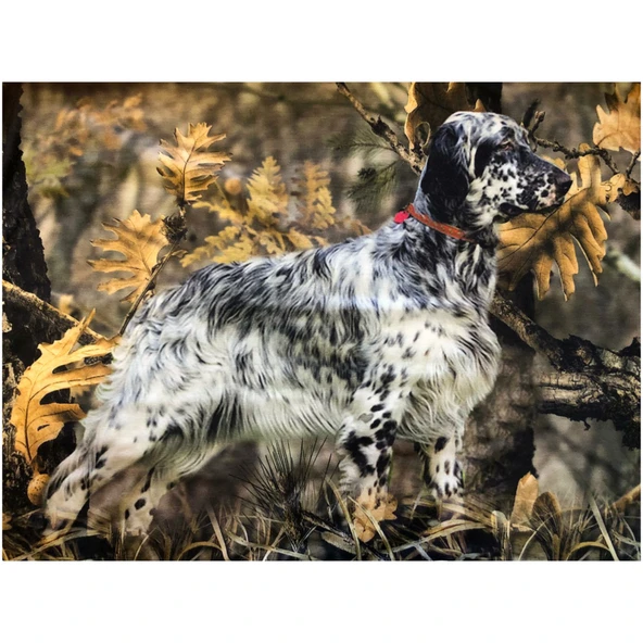 Setter Orman Desen Uzun Kollu Sweatshirt - 3