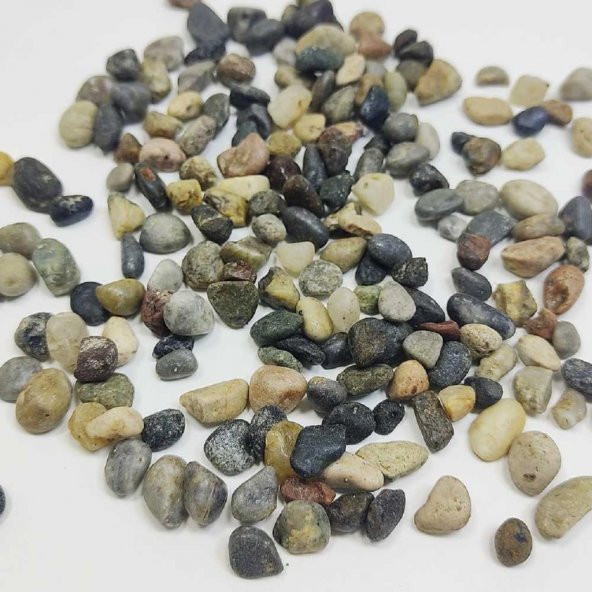 Doğal Deniz Taşı 1-3cm Aralığında 1 Kg Teraryum Akvaryum Çiçek süsleme - 7