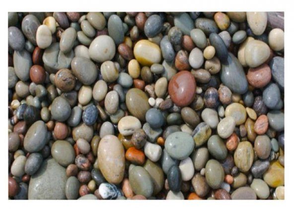 Doğal Deniz Taşı 1-3cm Aralığında 1 Kg Teraryum Akvaryum Çiçek süsleme - 5