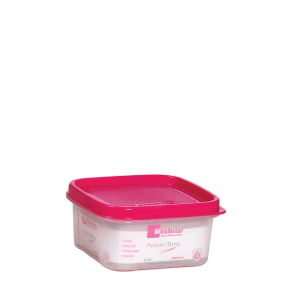 Moonstar Modüler Hava Sızdırmaz Saklama Kabı-1,7LT+2X0,40LT-MS-07 - 4
