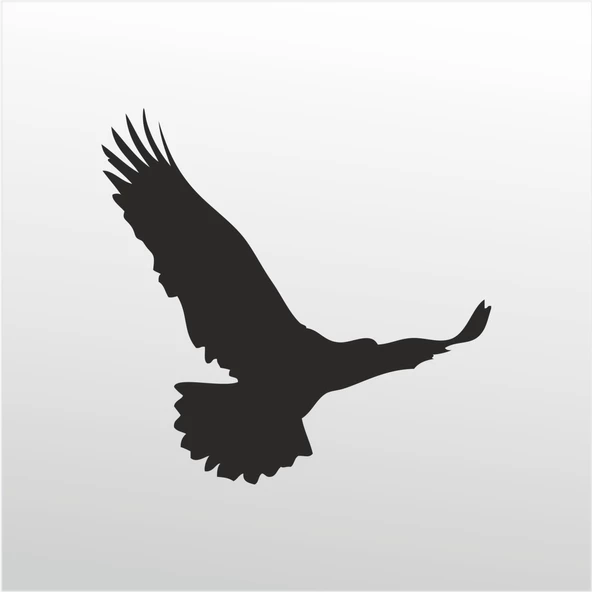 Folyo Sticker Kartal