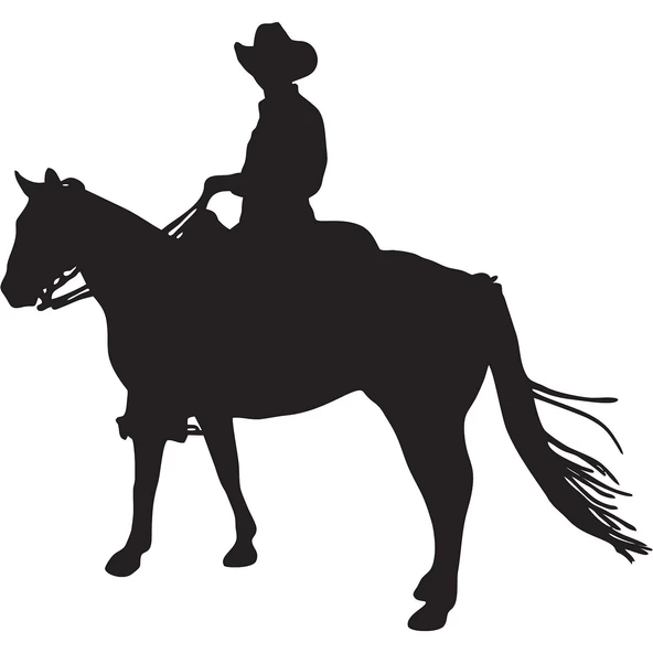 Folyo Sticker Kovboy - Resim 2