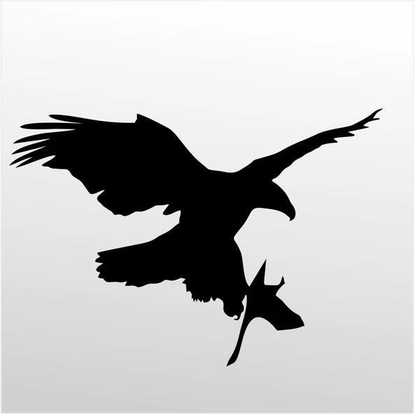 Folyo Sticker Kartal ADKPQUY625