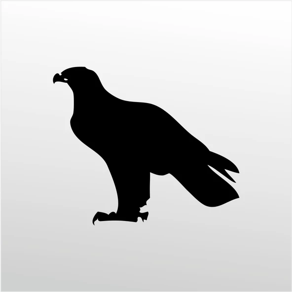 Folyo Sticker Kartal ADKPQUY630