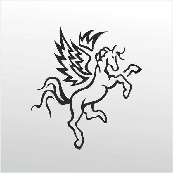 Folyo Sticker Kanat ürün görseli