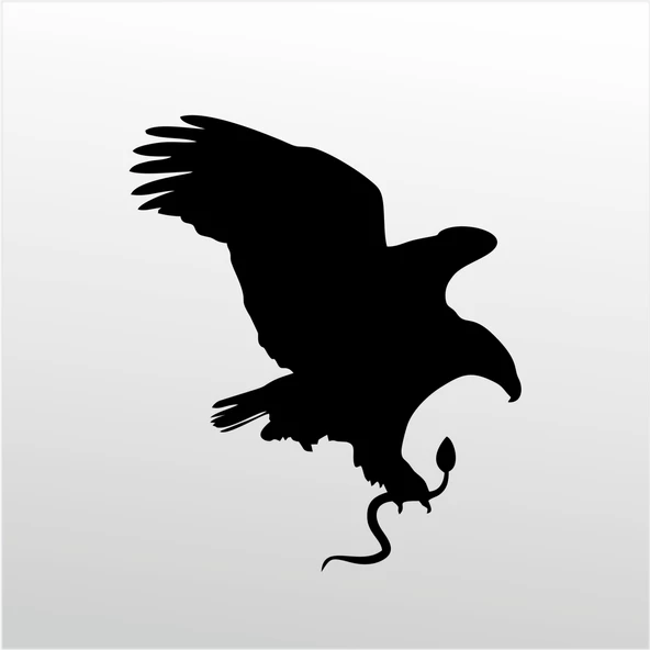 Folyo Sticker Kartal ADKPQUY619