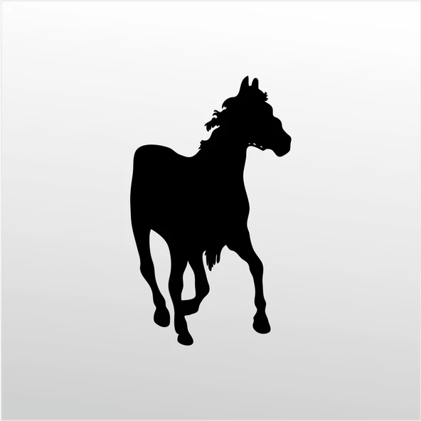 Folyo Sticker At ürün görseli