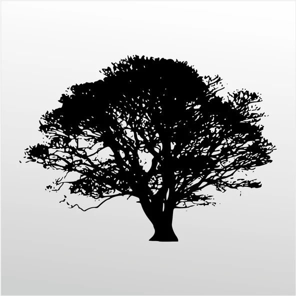 Folyo Sticker Ağaç ADKPQUY114 ürün görseli 1