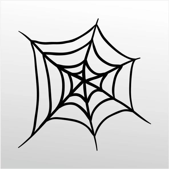 Folyo Sticker Örümcek Ağı ürün görseli