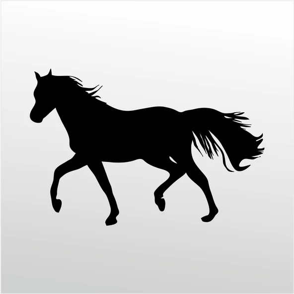 Folyo Sticker At ürün görseli