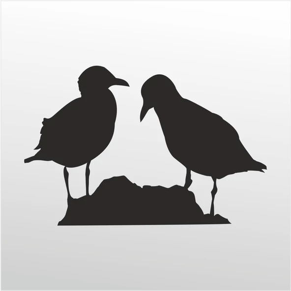 Folyo Sticker Kuşlar ürün görseli