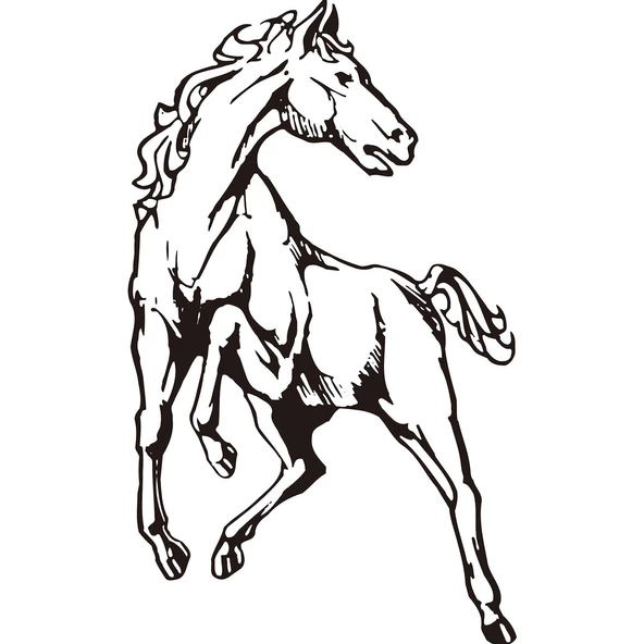 Folyo Sticker At ürün görseli 1