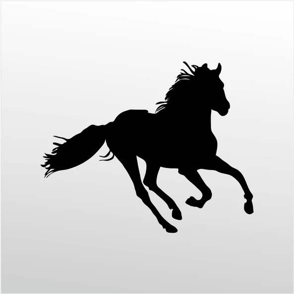 Folyo Sticker At ürün görseli