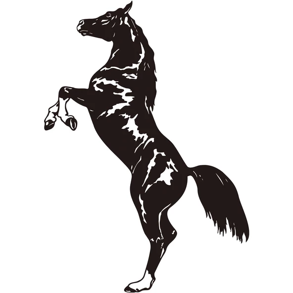 Folyo Sticker At ürün görseli