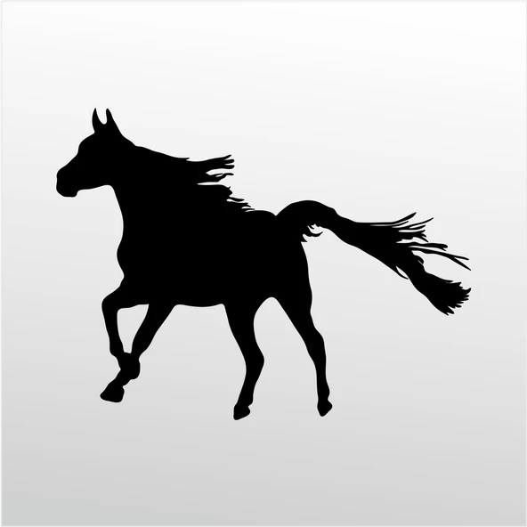 Folyo Sticker At ürün görseli