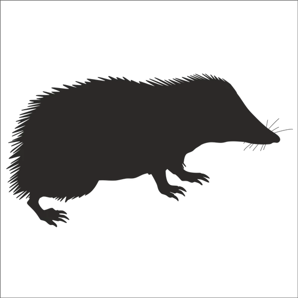 KİRPİ FOLYO STİCKER ürün görseli