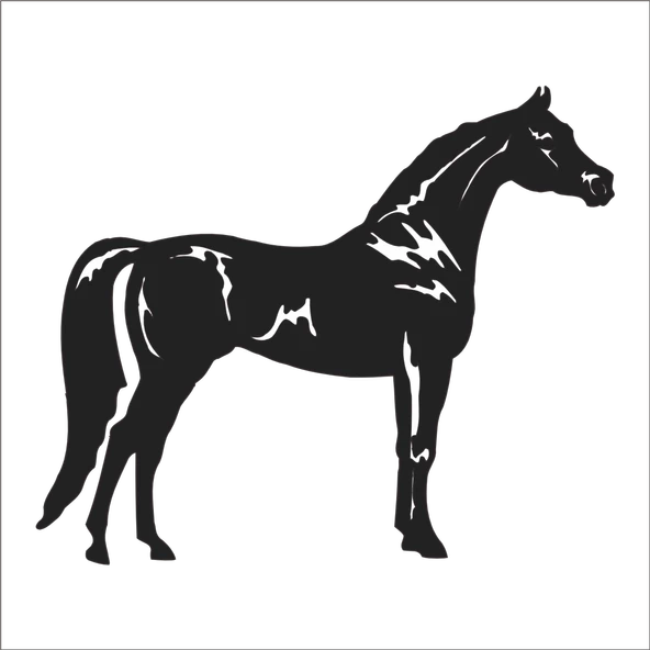 AT FOLYO STİCKER ürün görseli