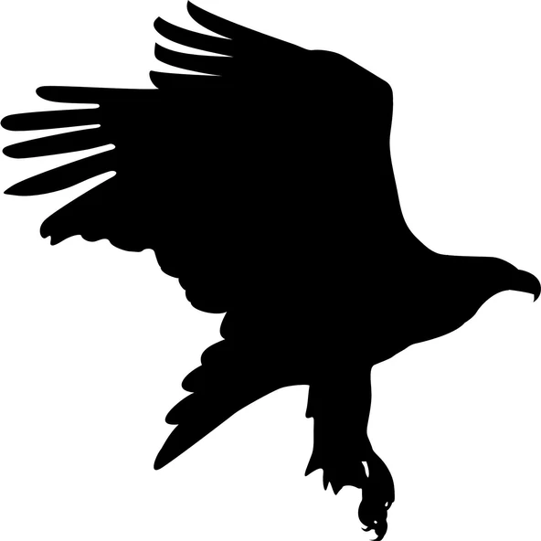 KARTAL FOLYO STİCKER DERSTV756